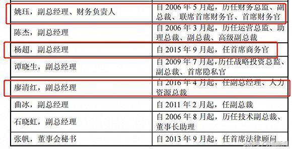 四川长虹重组已成定局，国际释义、解释及落实措施