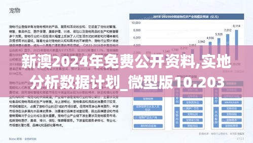 探索新澳正版兔费大全，一举释义与落实