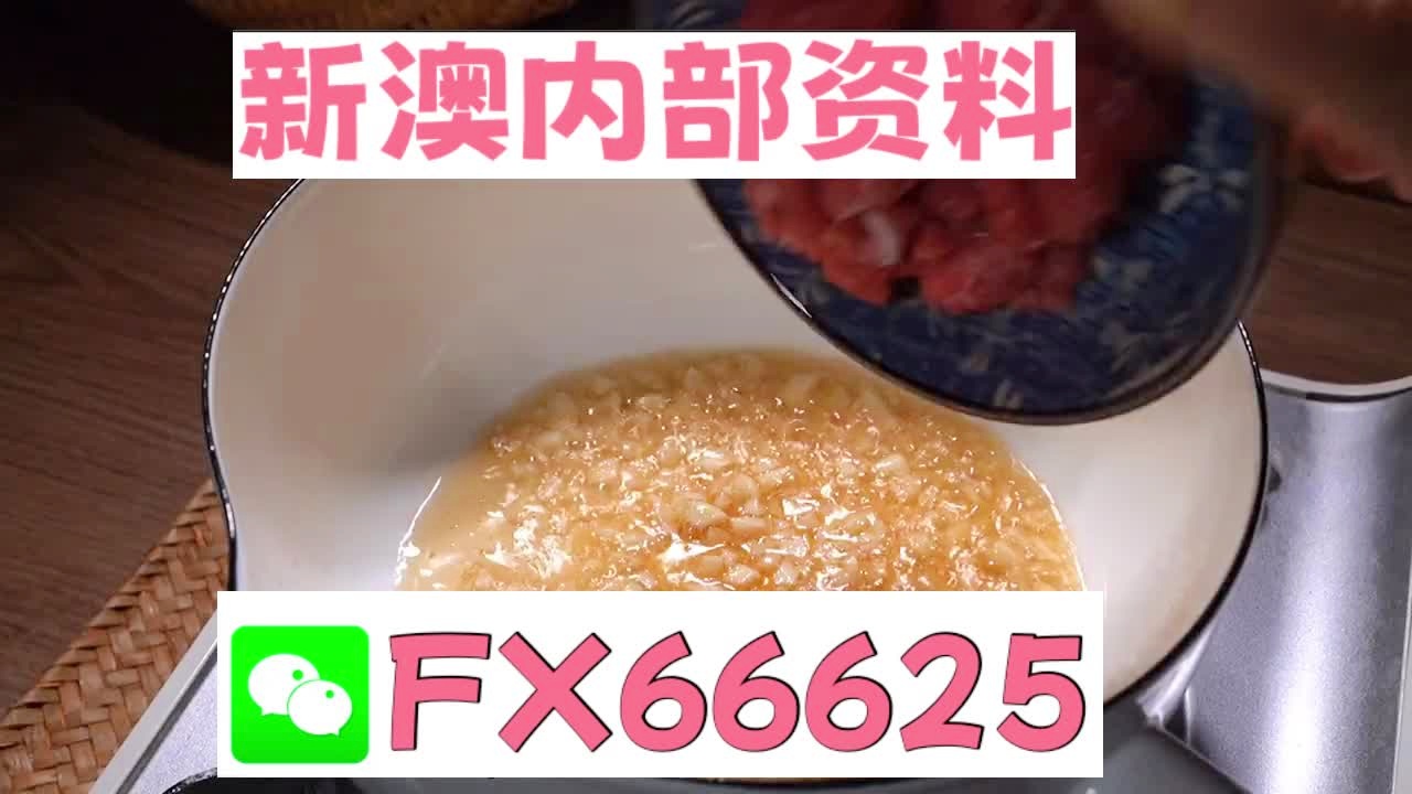 新澳门精准5码中特，释义解释与落实策略