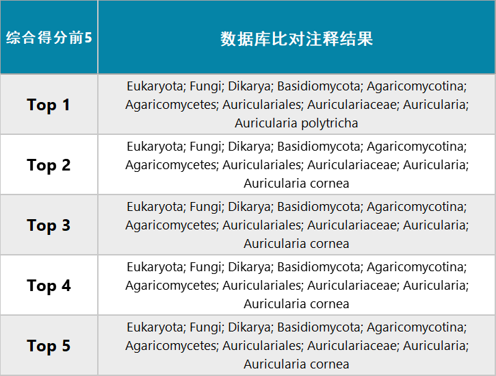 二四六944cc246免费资料大全与全新释义解释落实深度解析