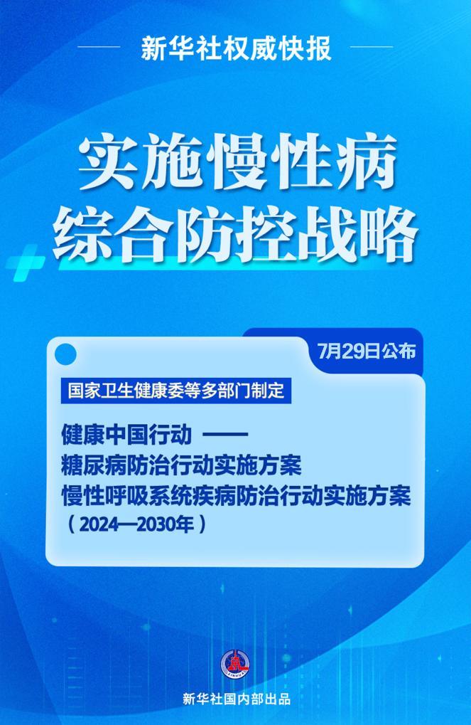 澳门精准免费大全，释义解释与落实策略至2025年展望