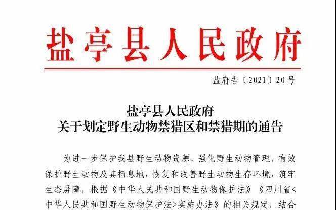 关于跑狗图库大全与商关释义的探讨，落实与实践