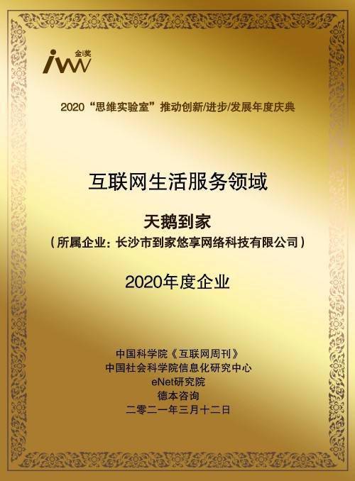 卓越释义解释落实，探索数字背后的含义与马会传真价值